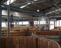 Reshmica Minerals & Chemicals Pvt. Ltd.