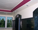 IT Park, Bopodi