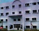 Spring Dale School Narhe